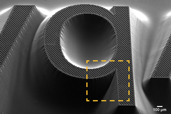 FlexcelNX_Advanced_Edge_DefinitionTN
